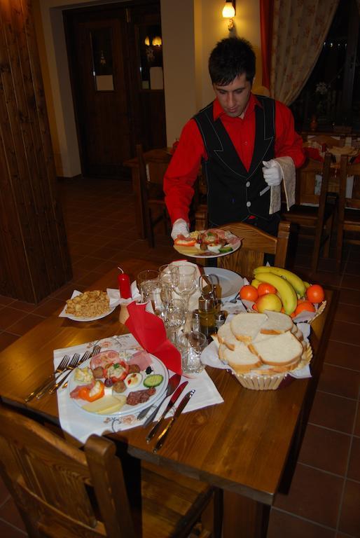 Conacul Ursului Guest house