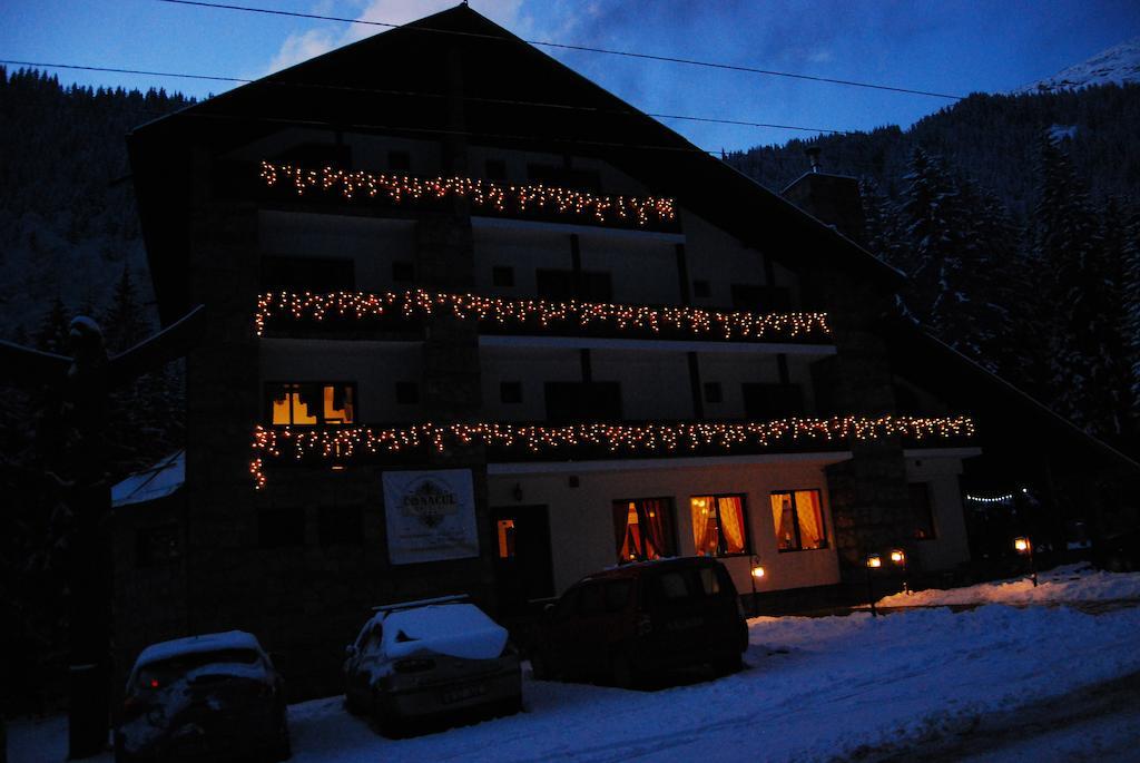 Conacul Ursului Guest house